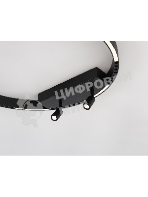 Потолочный светодиодный светильник Ambrella light FL5808/1+2 BK черный 40W 3000K/4200K/6400K D600*95 (без ПДУ)