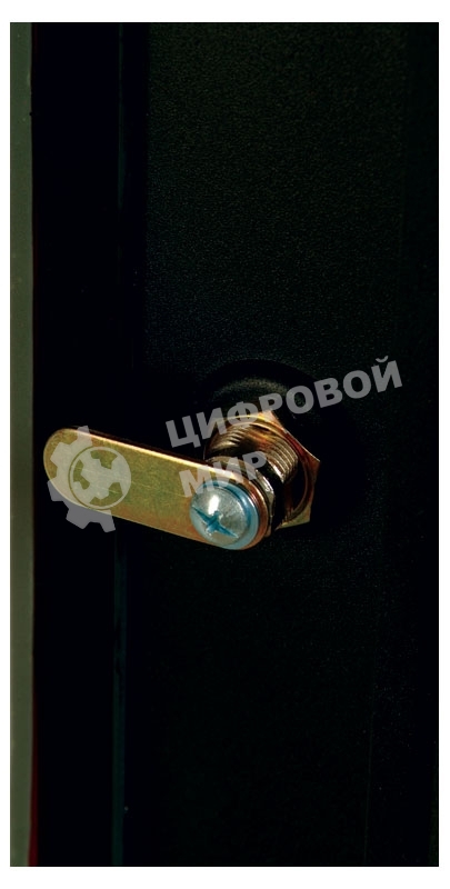 Шкаф настенный ЦМО ШРН-Э-6.350 6U 600x350 мм пер. дв. стекл несъемные бок. пан. серый