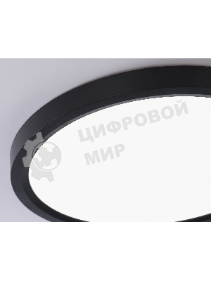 Светильник светодиодный ультратонкий Ambrella light FZ1906 BK черный IP54 26W 3000K-6500K CCT-переключатель D370*25 (Без ПДУ)