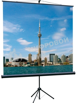 Экран на треноге Lumien 150x150 см Eco View LEV-100101 1:1 напольный рулонный