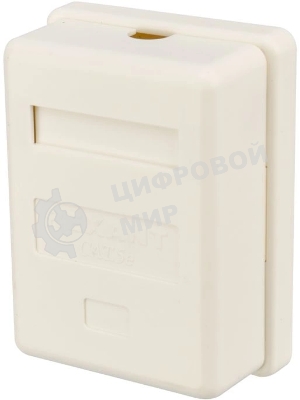 Розетка компьютерная Rexant 1-м ОП RJ45 CAT 5E бел.