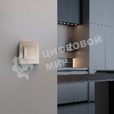 Рамка на 1 пост Senso (шампань, стекло soft-touch) W0013111