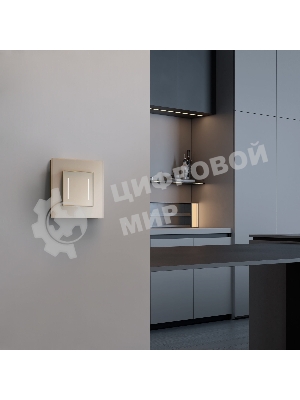 Рамка на 1 пост Senso (шампань, стекло soft-touch) W0013111