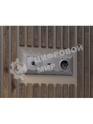 Лицевая панель ALFA (Сталь матовый) для HDMI розетки QUANT AP5140