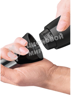 Блендер погружной Bosch MSM2620B черный