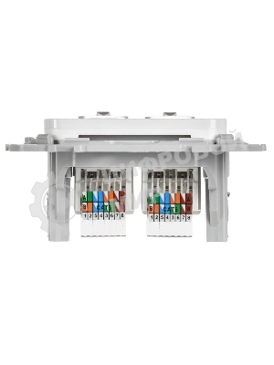 Розетка 2-местная компьютерная RJ45 категория 6 UTP РК6-2-0-ФлБ белый FLITE