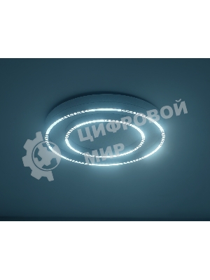 Потолочный светодиодный светильник Ambrella light FL5821 WH белый 55W 3000K/4200K/6400K D600*75 (без ПДУ)