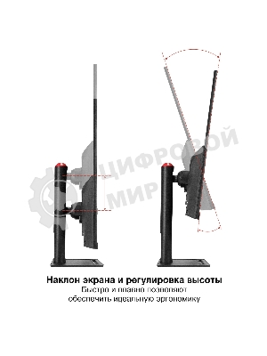 Монитор 31.5
