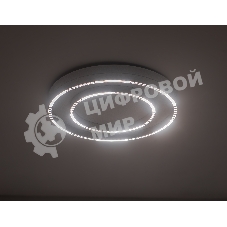 Потолочный светодиодный светильник Ambrella light FL5821 WH белый 55W 3000K/4200K/6400K D600*75 (без ПДУ)