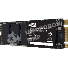 Накопитель SSD PC Pet SATA III 2Tb PCPS002T1 M.2 2280 OEM