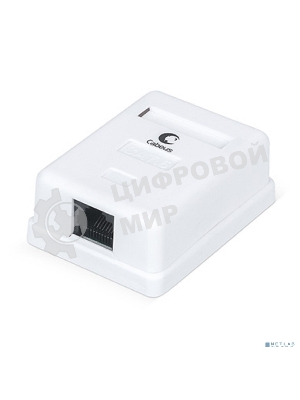 Розетка в сборе Cabeus, 1x RJ45(8P8C), кат. 6, неэкр., внешняя, белый, (WS-8P8C-Cat.6-1)