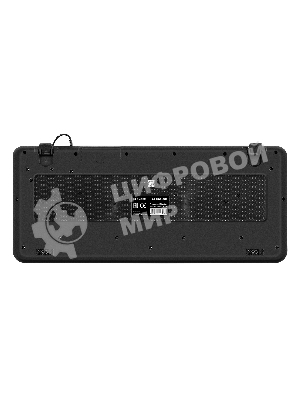 Клавиатура проводная ExeGate Professional Standard LY-E5500M, USB, черный