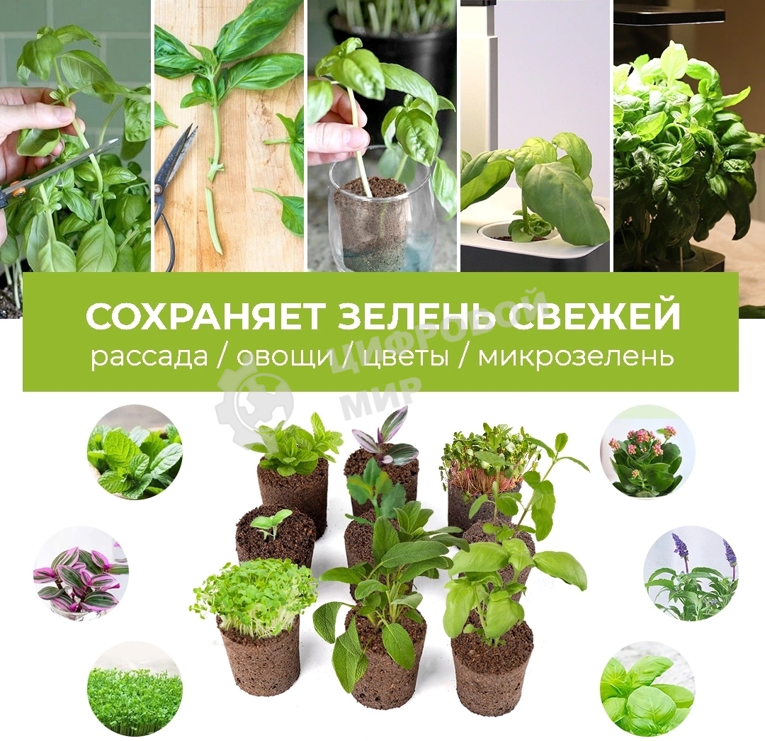 Набор питательных губок Cactus CS-SPONGE-11 для проращивания для CS-LEDPOT-11/SMARTPOT-11 (упак.:11шт) пакет