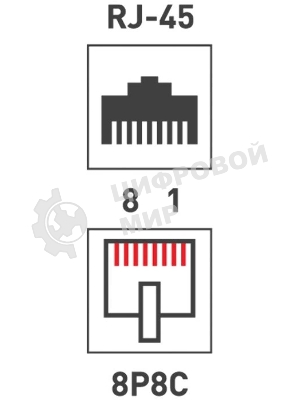 Розетка компьютерная Rexant 1-м ОП RJ45 CAT 5E бел.