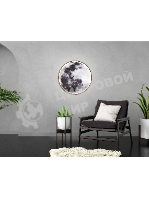 Настенно-потолочный светодиодный светильник Ambrella light FW11114 BK черный 38W LED 3000-6400K D600*38