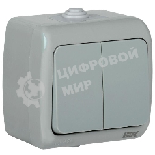 Выключатель 2-кл. 1п ОП Aquatic 10А IP54 ВС-20-2-0-А сер. IEK EVA20-K03-10-54