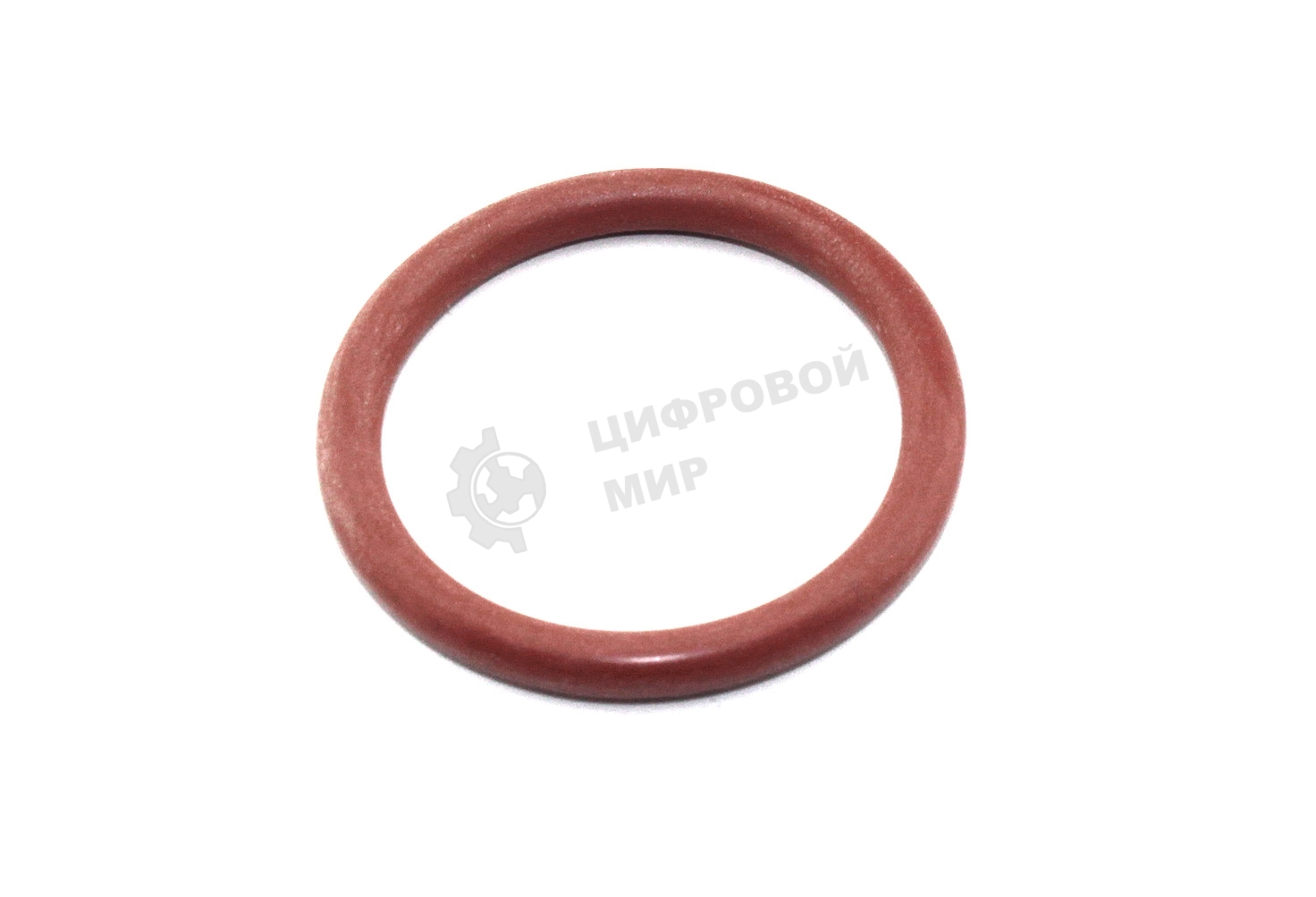 Кольцо уплотнительное на ЗУ Saeco,Philips Оригинал