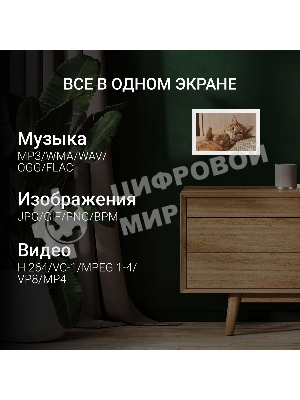 Фоторамка Digma 10.1