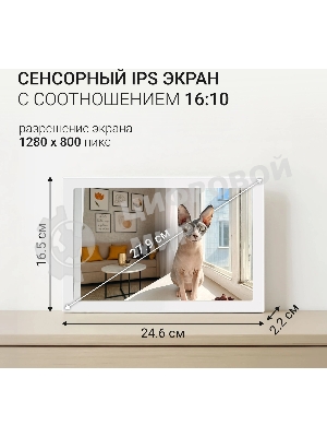 Фоторамка Digma 10.1