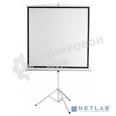 Экран 180x180см Digis Kontur-D DSKD-1105 1:1 напольный рулонный