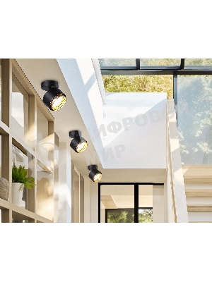 Светильник Ambrella light TN71282  BK/GD черный/золото GX53 max 12W D95*137