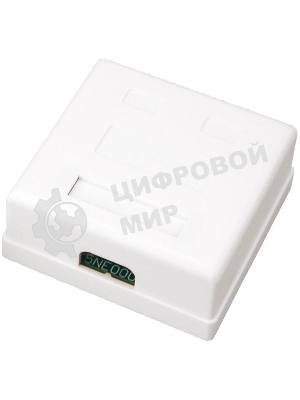 Розетка компьютерная Rexant 2-м ОП RJ45 CAT.5E бел.