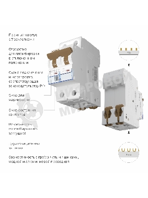 Автоматический выключатель Werkel 2P 20A C 4,5 кА W902P204