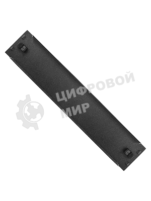 Заглушка (фальш-панель) ExeGate FP19-2UM-TL (19