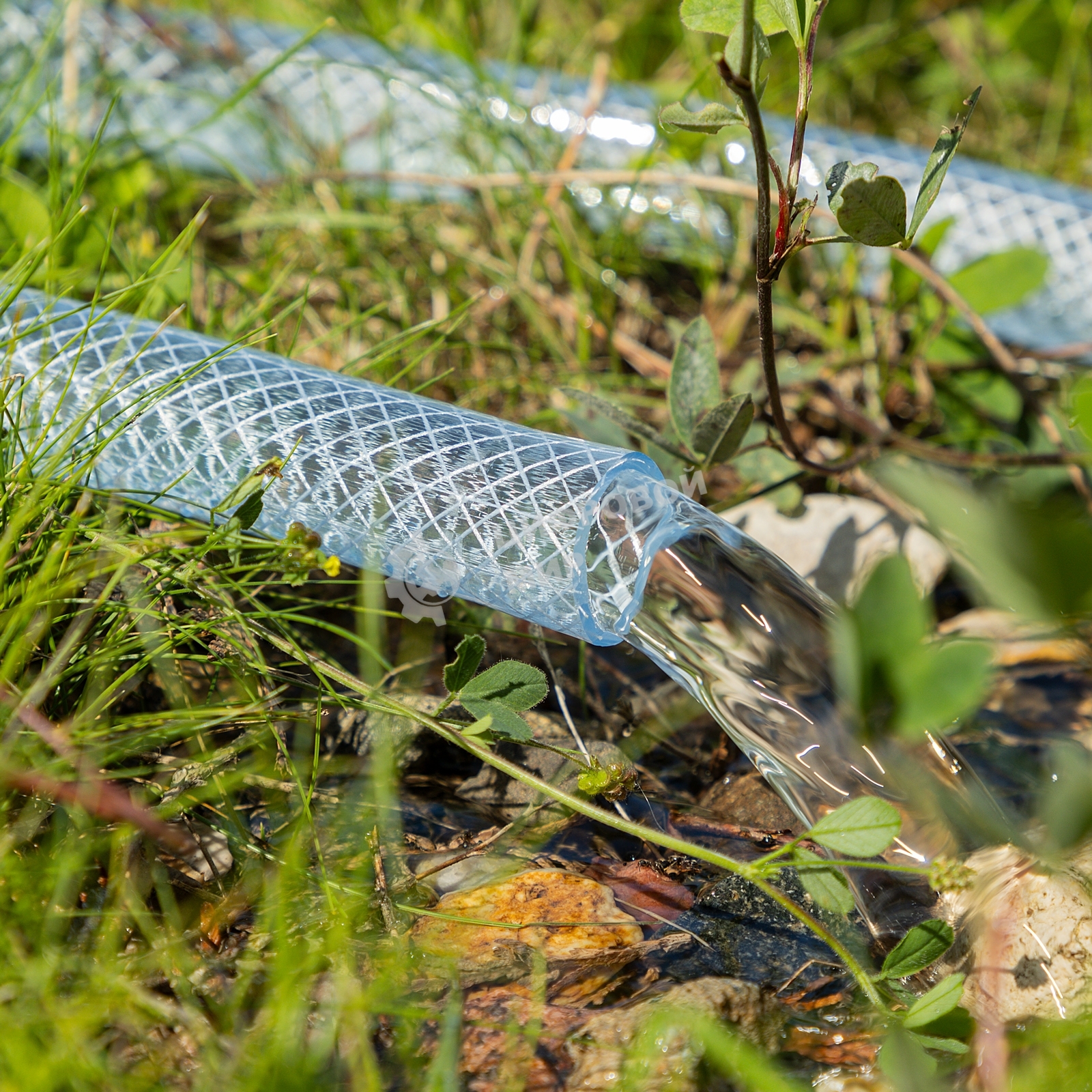 Шланг поливочный Palisad прозрачный армированный 3-х слойный, 1/2