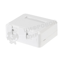 Корпус настенной розетки Rexant под 2 модуля Keystone Jack белый