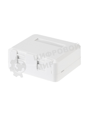 Корпус настенной розетки Rexant под 2 модуля Keystone Jack белый