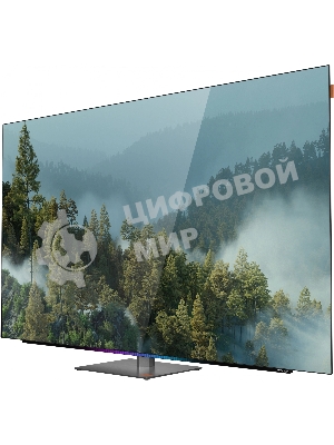 Телевизор Skyworth 55