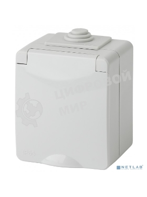 Розетка ЭРА 11-2601-03 2P+E IP65, 16A-250В, ОУ, серый