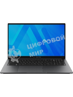 Ноутбук Maibenben P725 серый P7251SF0LGRE0 17.3