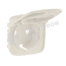 Накладка розетки с/з с крышкой | 754846 | Legrand Valena ALLURE Сл.кость