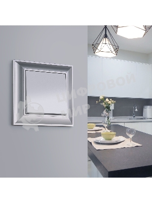 Рамка на 1 пост (серебряный) W0012206