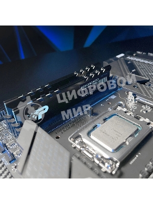 Оперативная память Patriot Signature Premium, DDR5, 16Gb (1x16 GB), 5600 MHz, CL46, DIMM, радиатор, черный