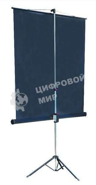 Экран на штативе Lumien Master View 244x244 см Matte White FiberGlass (LMV-100105)