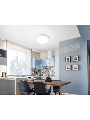 Светильник светодиодный ультратонкий Ambrella light FZ1951 WH белый IP54 20W 5000K D270*15 (Без ПДУ)