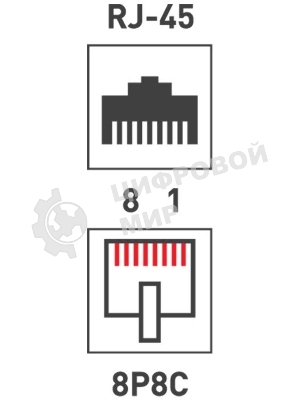 Розетка компьютерная Rexant 2-м ОП RJ45 CAT.5E бел.
