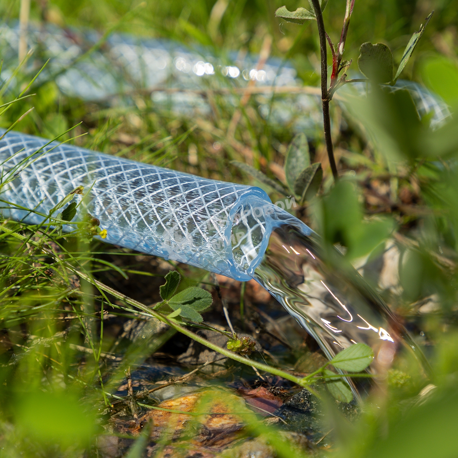 Шланг поливочный Palisad прозрачный армированный 3-х слойный, 1/2