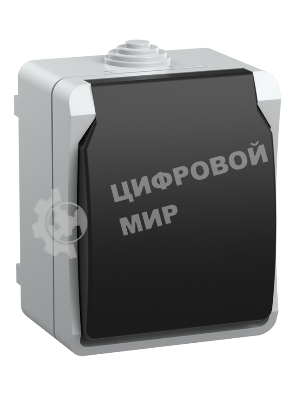 Розетка IEK Форс РСб20-3-ФСр1м с/з открытой установки