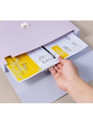 Папка-портфель Deli Colorful EF613 13 отделений, A4 полипропилен, ассорти