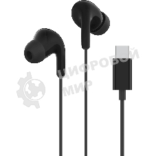 Наушники Xiaomi Type-C Earphones черный M2413E1