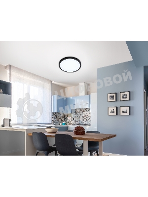 Светильник светодиодный ультратонкий Ambrella light FZ1953 BK черный IP54 20W 5000K D270*15 (Без ПДУ)