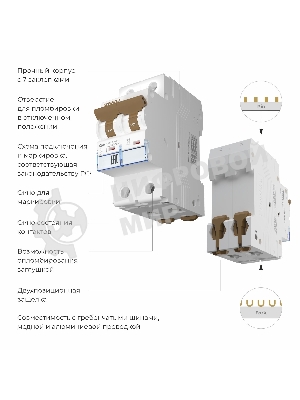 Автоматический выключатель Werkel 2P  50 A  C  6 кА W902P506