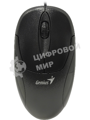 Мышь проводная Genius XScroll V3 черный, 1000 dpi, USB, кнопки - 3