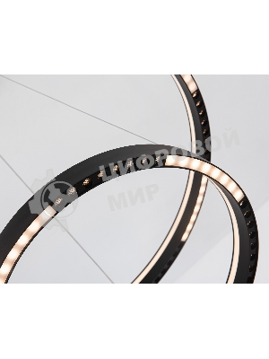 Подвесной светодиодный светильник Ambrella light FL5865/2 BK черный 45W 3000K/4200K/6400K D600/400*830 (без ПДУ)