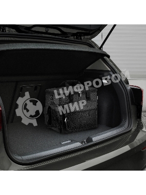 Сумка-термос Coolfort CF-0235 29л. черный
