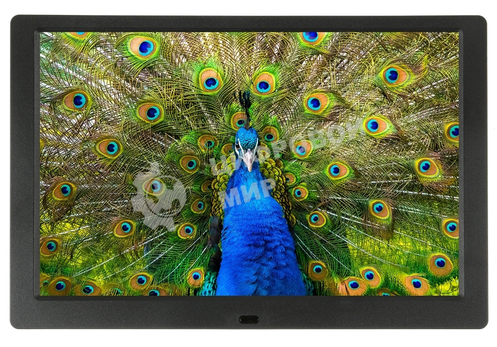 Фоторамка Digma 10.1